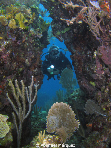 Evelio exploring the reef by Abimael Márquez 